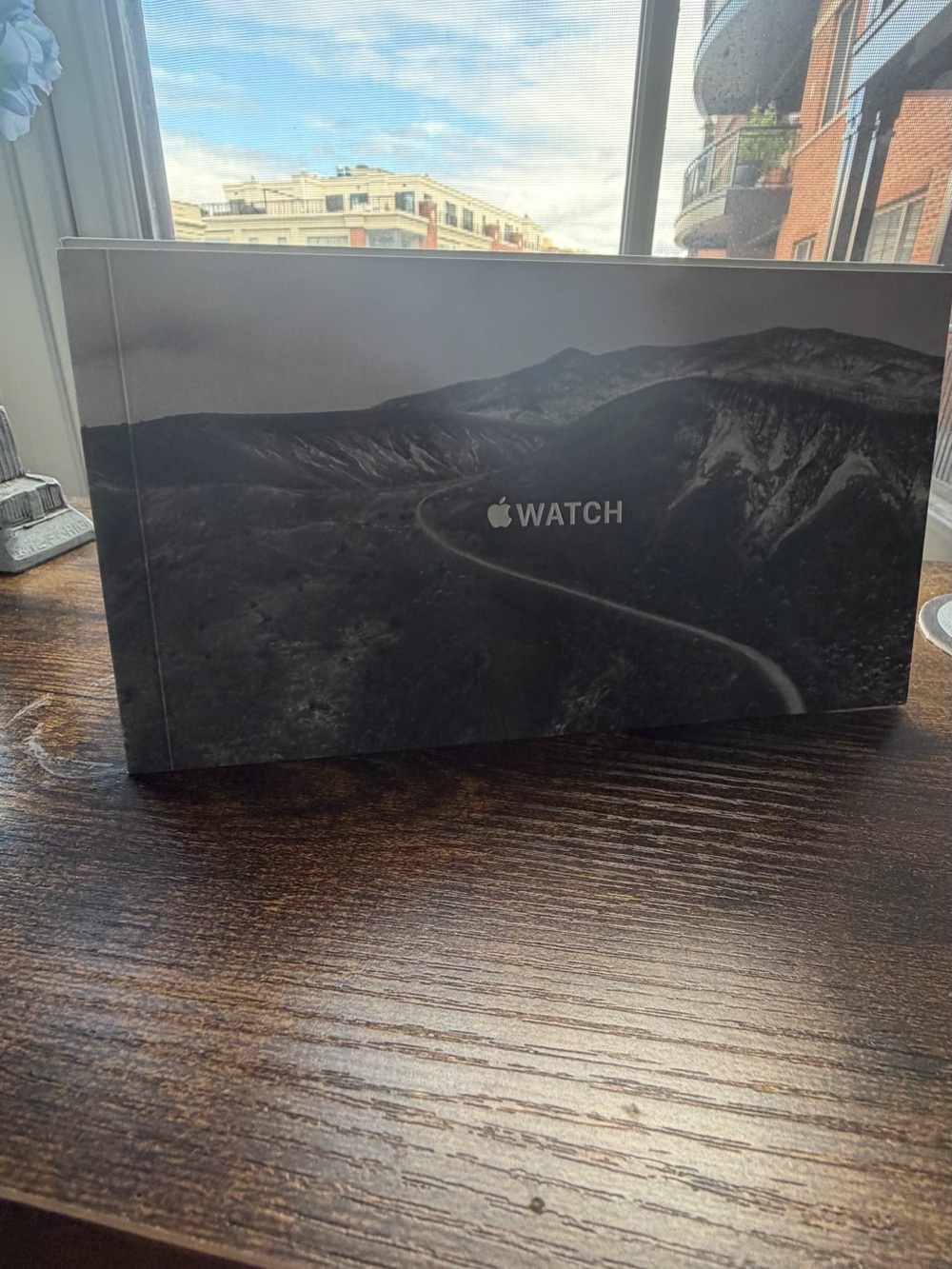 Apple Watch Ultra 49mm Titanium Black / Grey